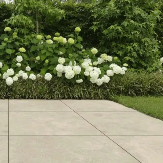 Keramische Tuintegel Travertin Beige 90x90x3cm -Aanbieding